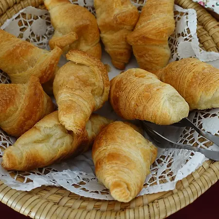 Casa Pinha Maison d'hôtes Figueira da Foz